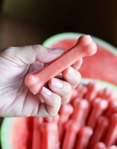 watermelon, dog, dog treat, dog pop,