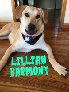Lillian Harmony