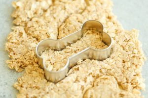 peanut butter, oat, dog treat